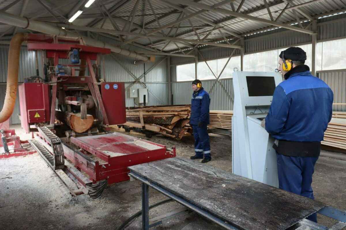 Надо идти в ногу со временем - в Минлесхозе объявили о масштабном производстве поддонов