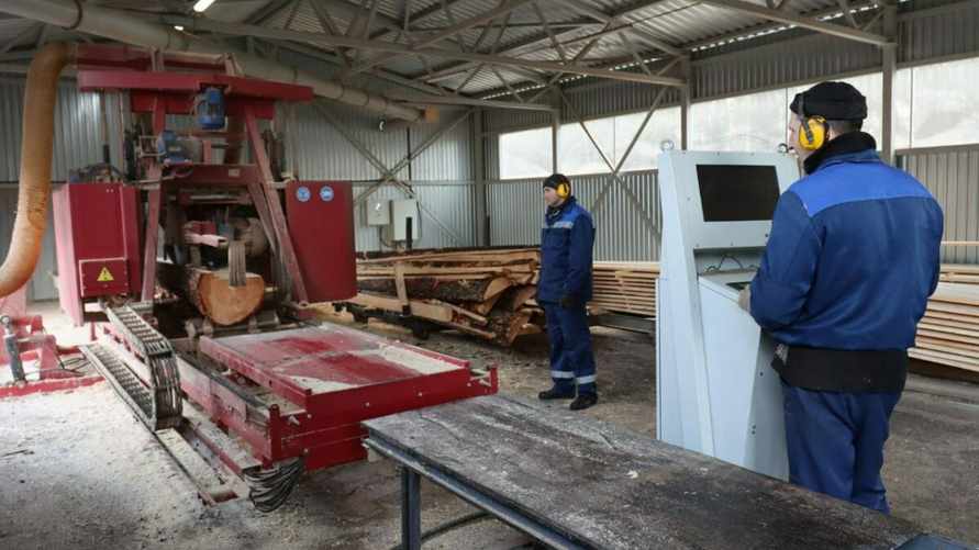 "Надо идти в ногу со временем" - в Минлесхозе объявили о масштабном производстве поддонов