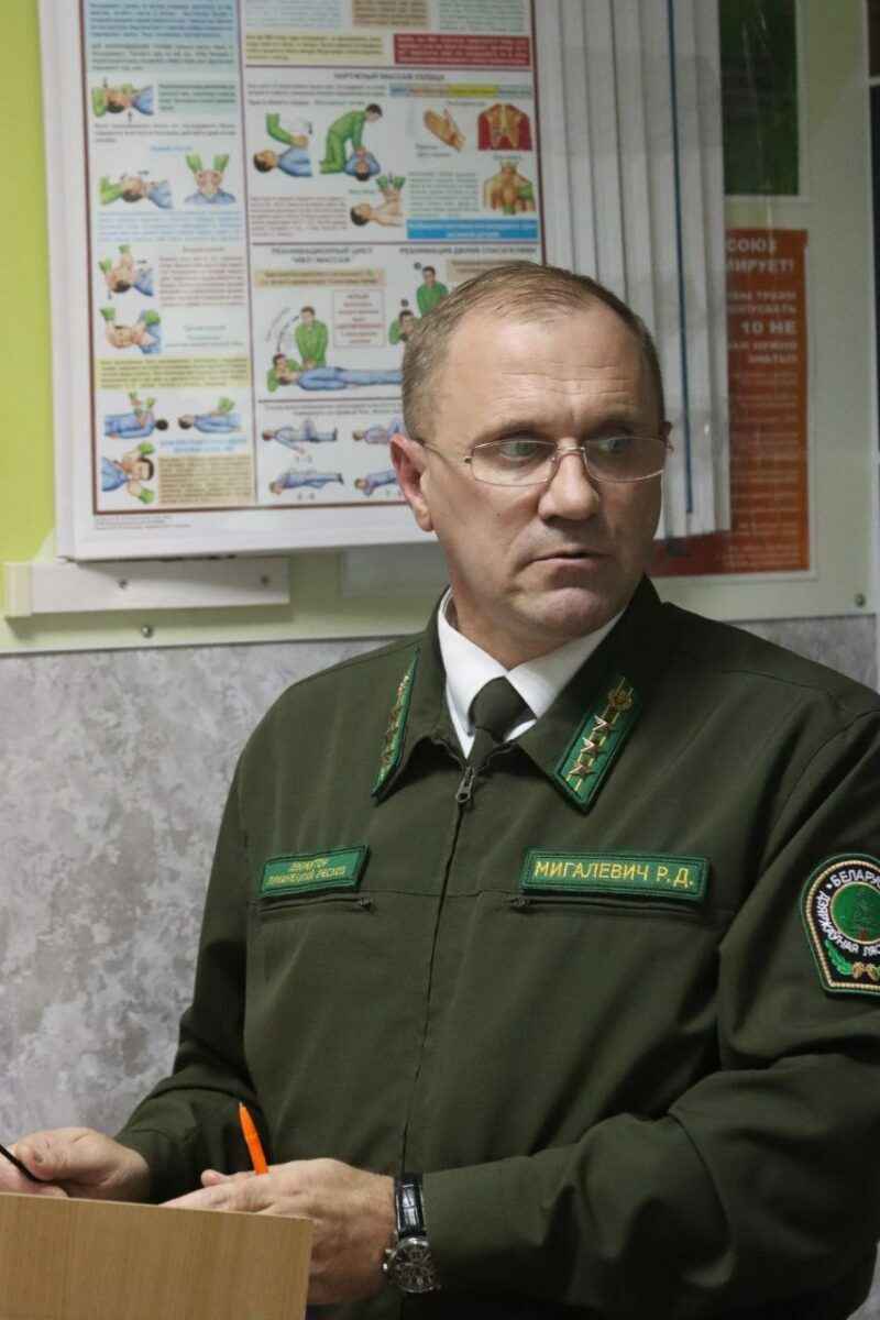 Надо идти в ногу со временем - в Минлесхозе объявили о масштабном производстве поддонов