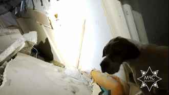 МЧС показало, во что превратились квартиры после обрушения перекрытий в Гомеле