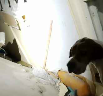 МЧС показало, во что превратились квартиры после обрушения перекрытий в Гомеле