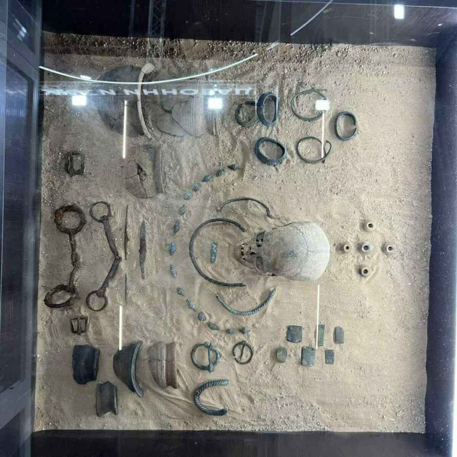 Появились первые фото с выставки достижений «Моя Беларусь»