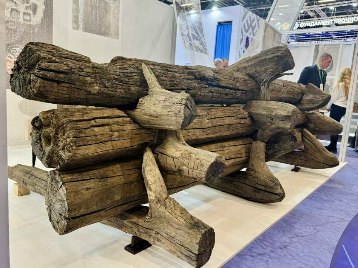 Появились первые фото с выставки достижений «Моя Беларусь»