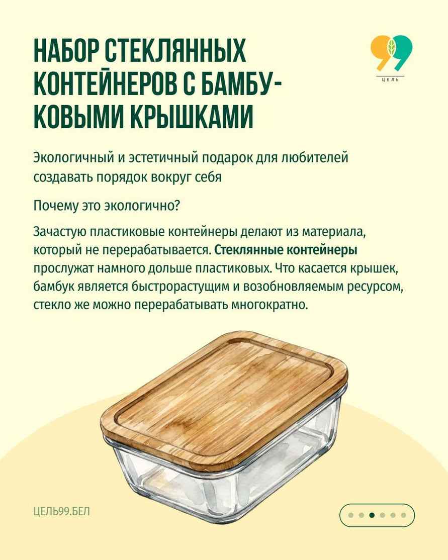 Миниприроды призвало белорусов подарить на Новый год эти 6 вещей