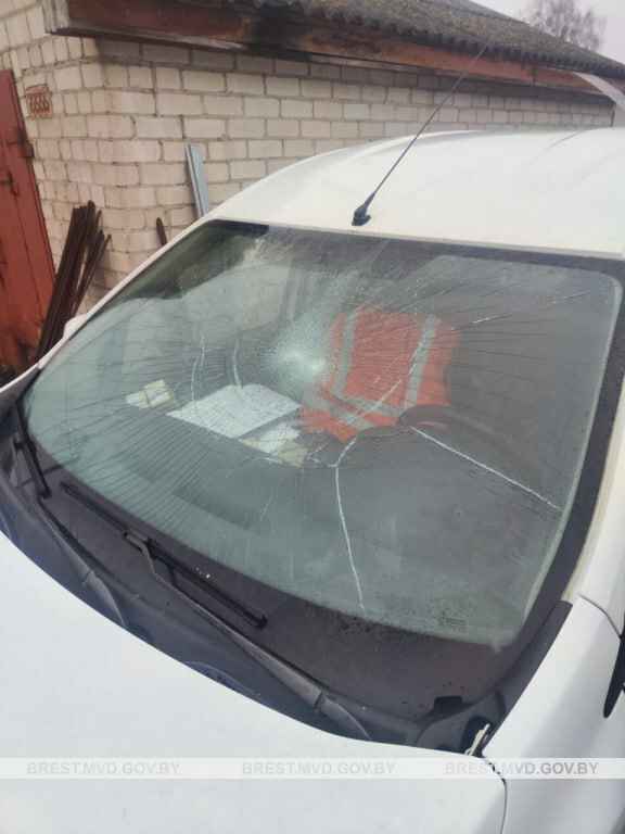 Милиция завела уголовку на жителя Барановичей за необъяснимый поступок