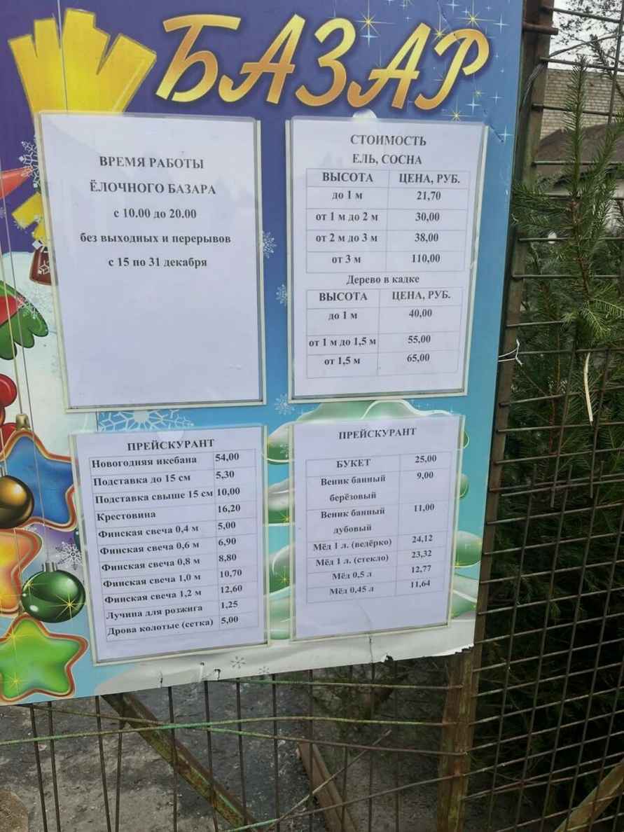 Цен таких нет! — минчане пожаловались на дорогие ёлки. Что ответили в Минлесхозе