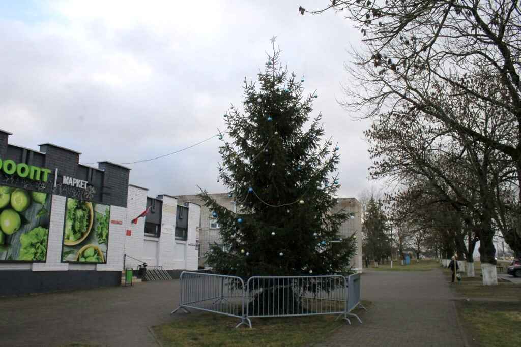 Белорус купил за свой счёт новогоднюю ёлку и поставил её в центре посёлка. А так можно было?