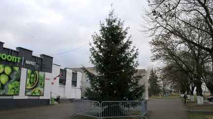 Белорус купил за свой счёт новогоднюю ёлку и поставил её в центре посёлка. А так можно было?