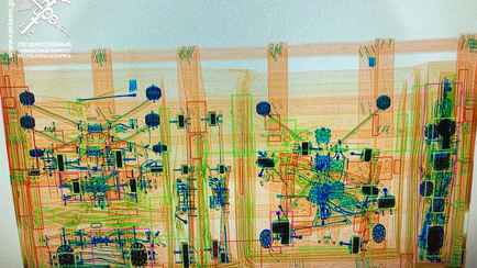 ГТК предупредил белорусов об уголовной ответственности — «Ежедневно нарушают»