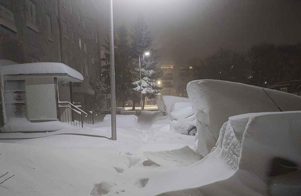 Снегопады в Польше устроили коллапс на дорогах