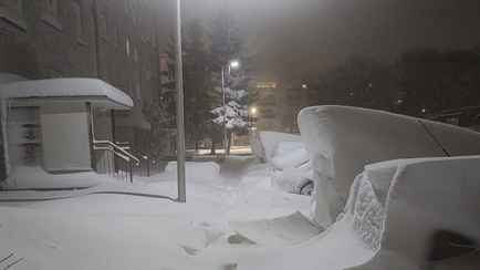 Снегопады в Польше устроили коллапс на дорогах