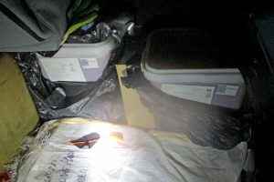 Любите покупать с рук свежую красную икру? Россельхознадзор показал, как её везут в Беларусь