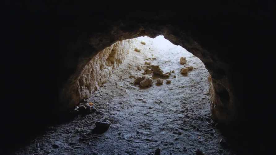 В Южной Америке нашли гигантские тоннели. Их построили не люди