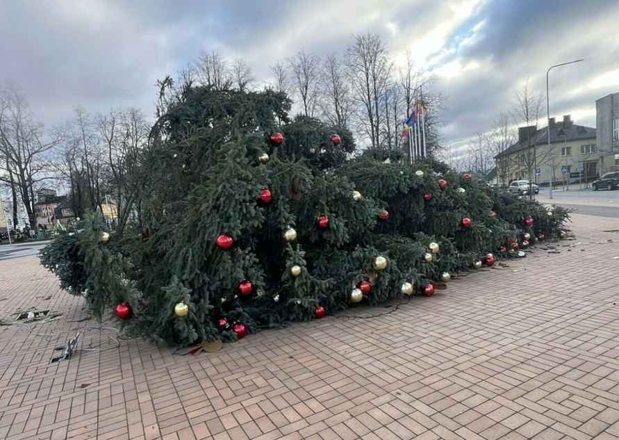 Литву накрыл почти ураган. Доберется ли до Беларуси?