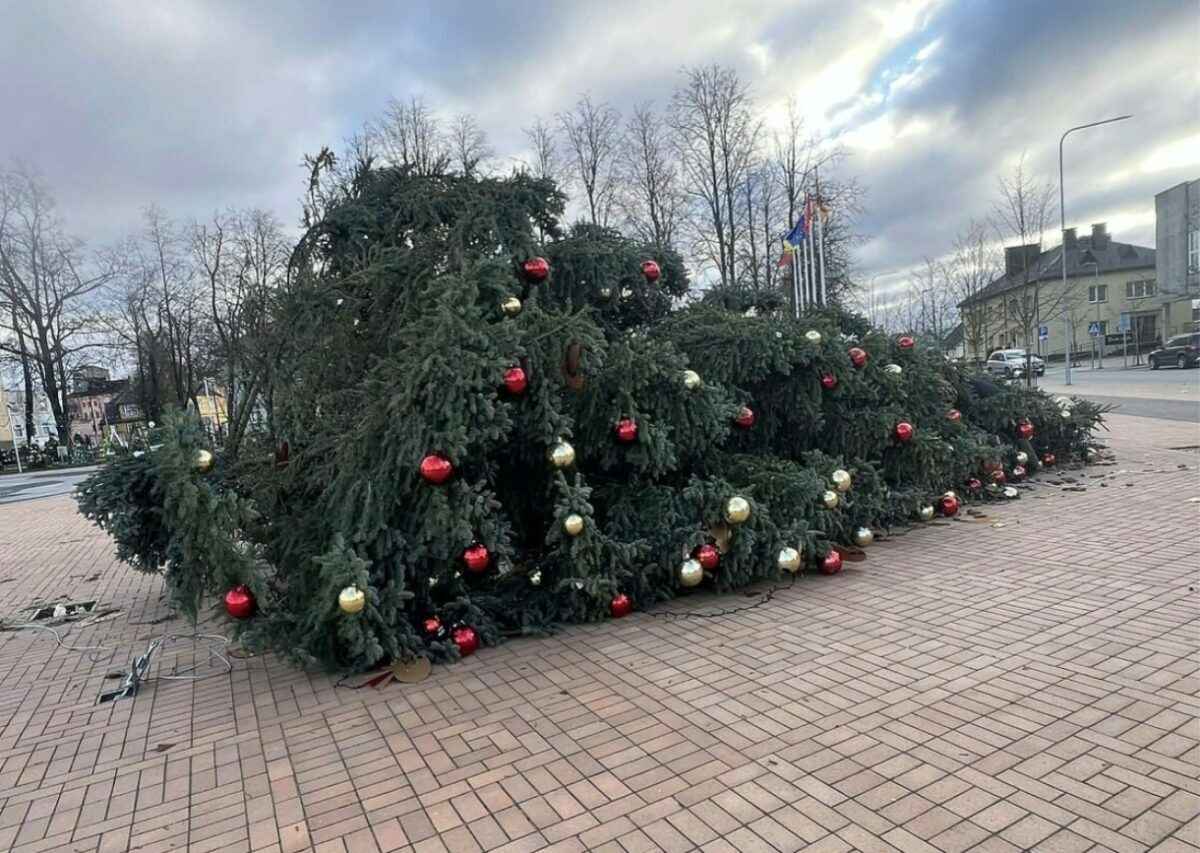 Литву накрыл почти ураган. Доберется ли до Беларуси?