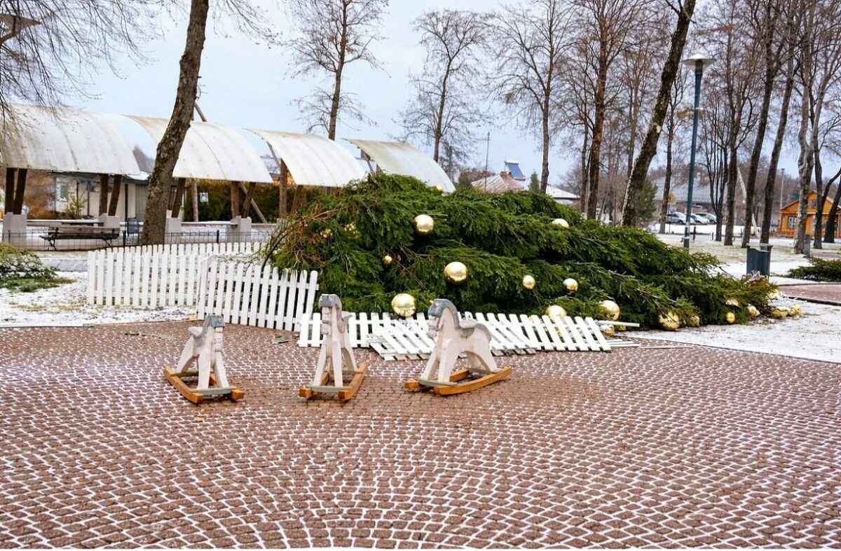 Литву накрыл почти ураган. Доберется ли до Беларуси?