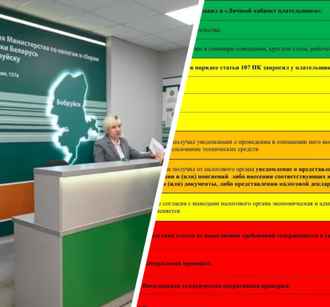МНС «покрасило» белорусские компании от зелёного до красного. У кого «спрашивать нечего»?