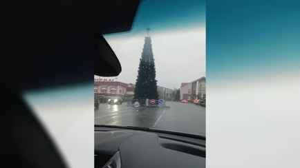 В Смолевичах ёлку обвинили в «нарушении ПДД». Местные не согласились – «Всегда так ставят»