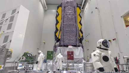 В лаборатории NASA случайно обнаружили микроб с суперспособностью