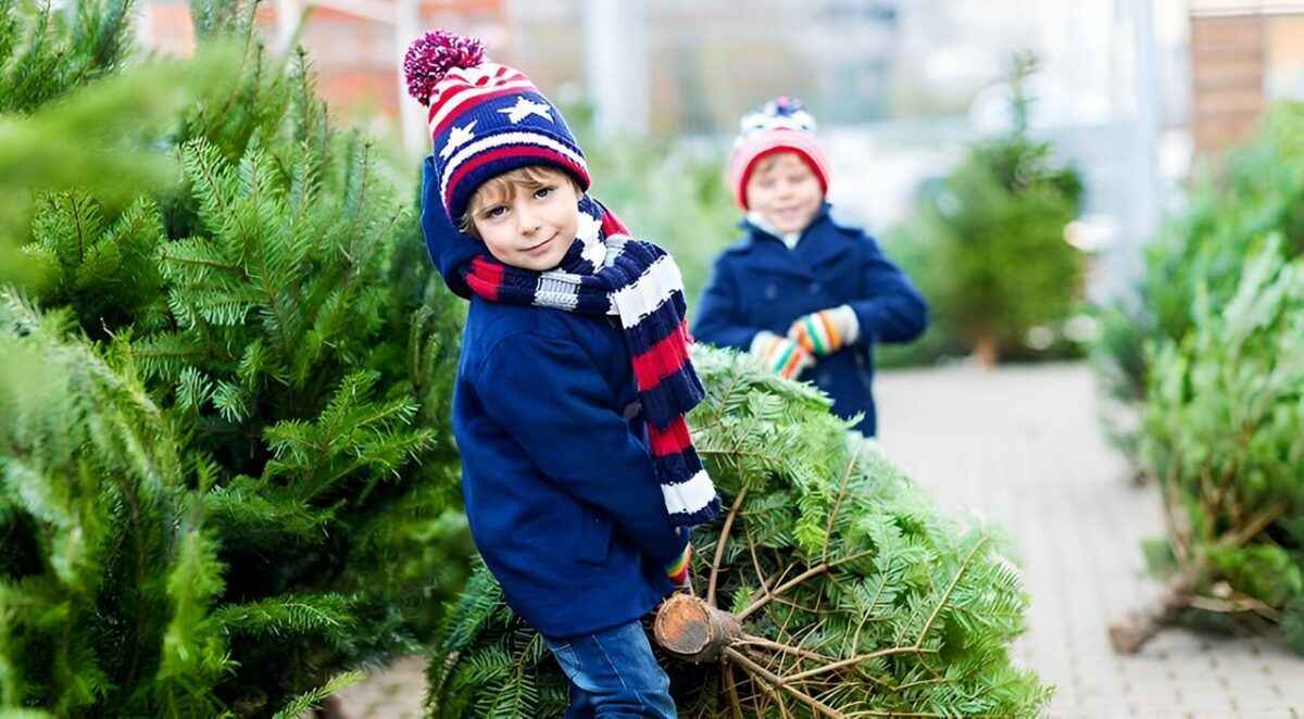 Фото иллюстрационное