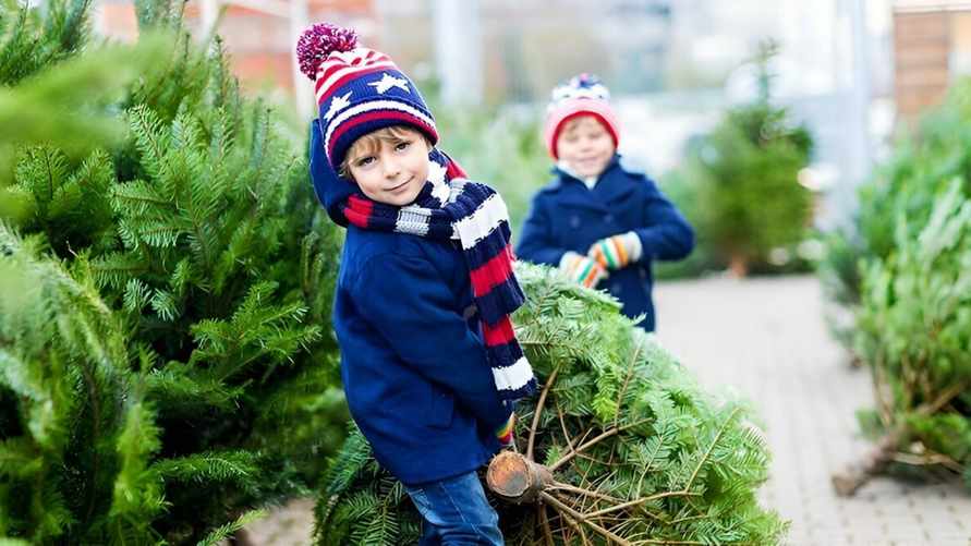 Фото иллюстрационное