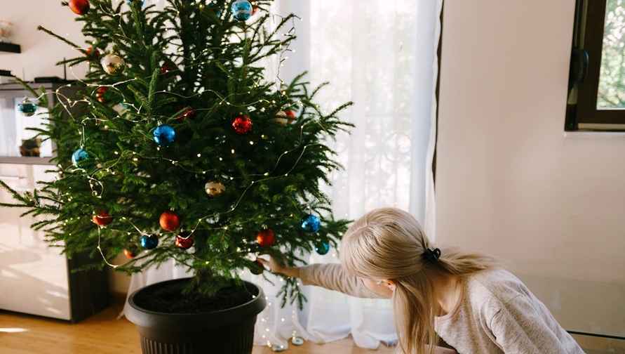 Россиян предупредили о скрытой опасности живых ёлок. Почему и белорусам стоит выдержать сутки на балконе?