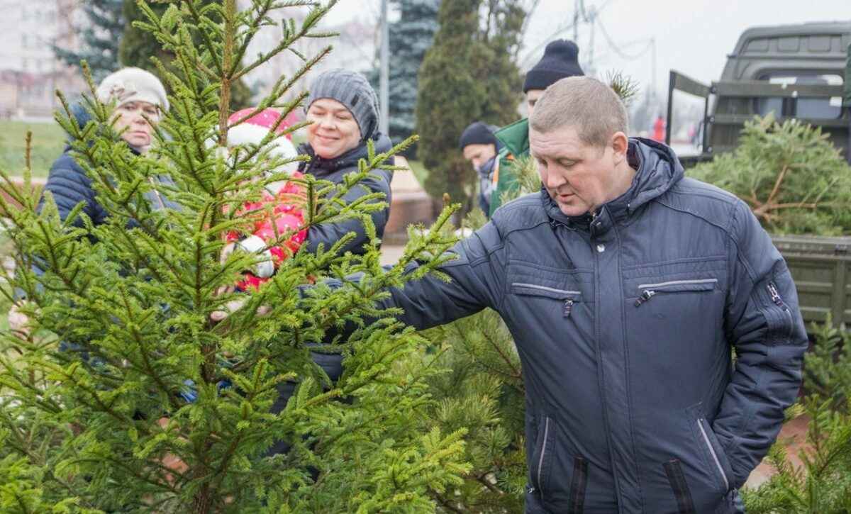Фото иллюстрационное