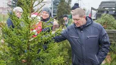 Когда откроются ёлочные базары? Некоторые регионы Беларуси определились с датами