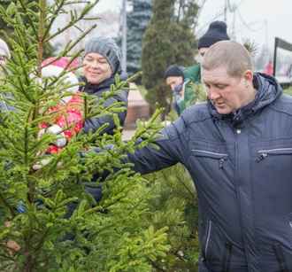 Когда откроются ёлочные базары? Некоторые регионы Беларуси определились с датами