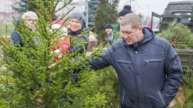 Когда откроются ёлочные базары? Некоторые регионы Беларуси определились с датами