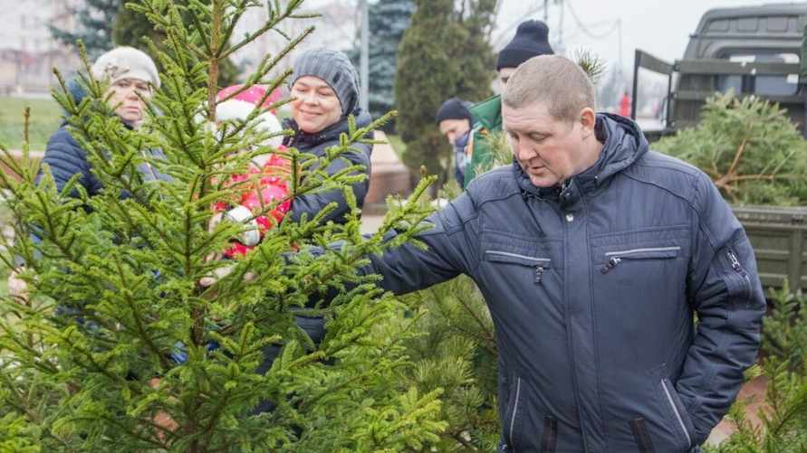 Фото иллюстрационное