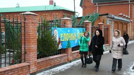 Белорусские лесхозы озвучили цены на живые новогодние ёлки