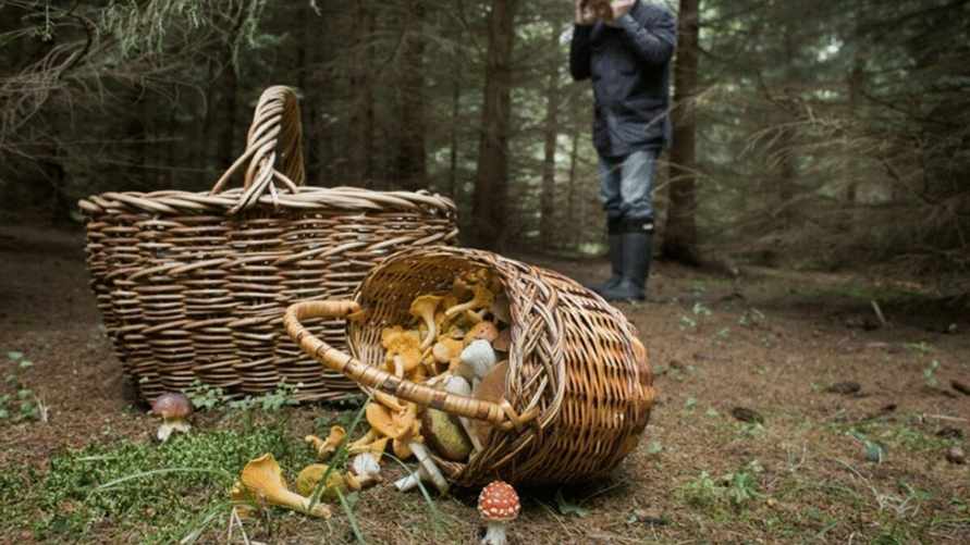 Фото иллюстрационное