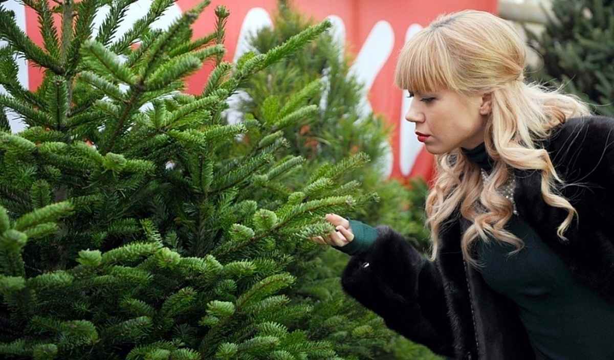 Фото иллюстрационное