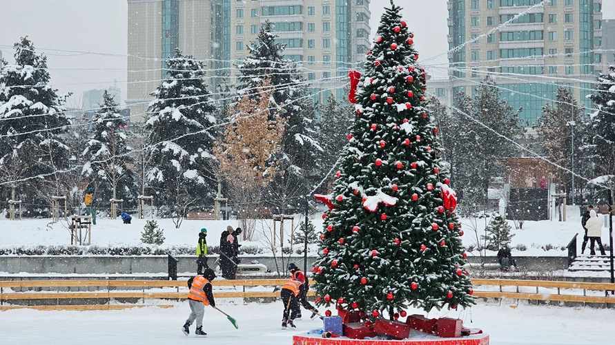 Фото иллюстрационное