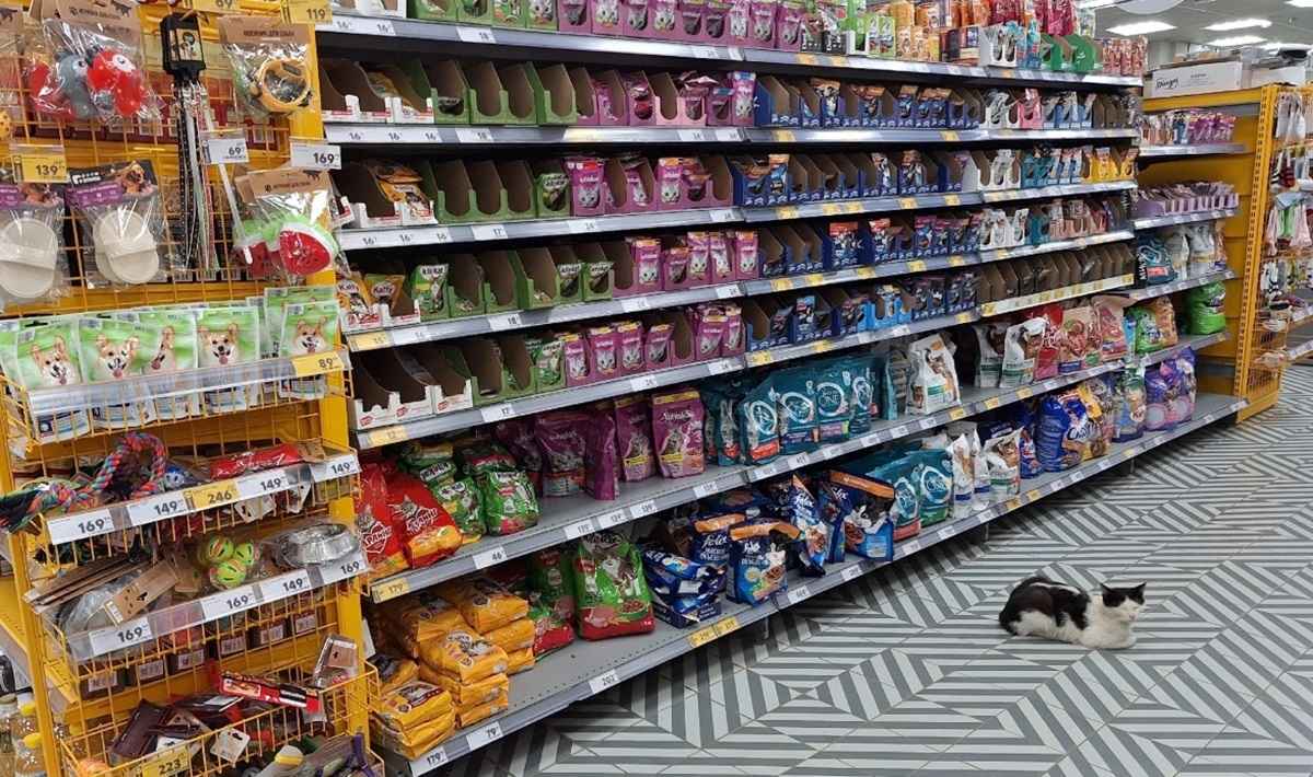 Фото иллюстрационное