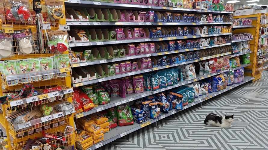 Фото иллюстрационное