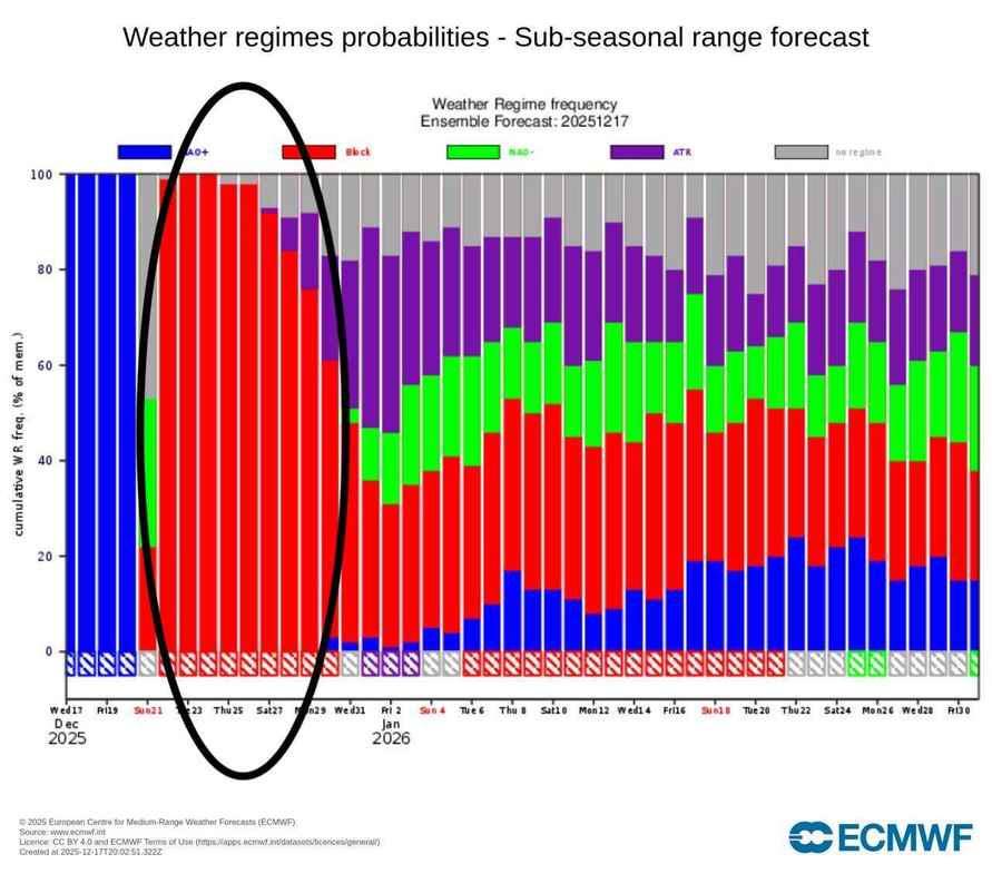 Будет ли в Беларуси на Рождество зимний вайб и -10°С? Синоптики поделились осторожным оптимизмом