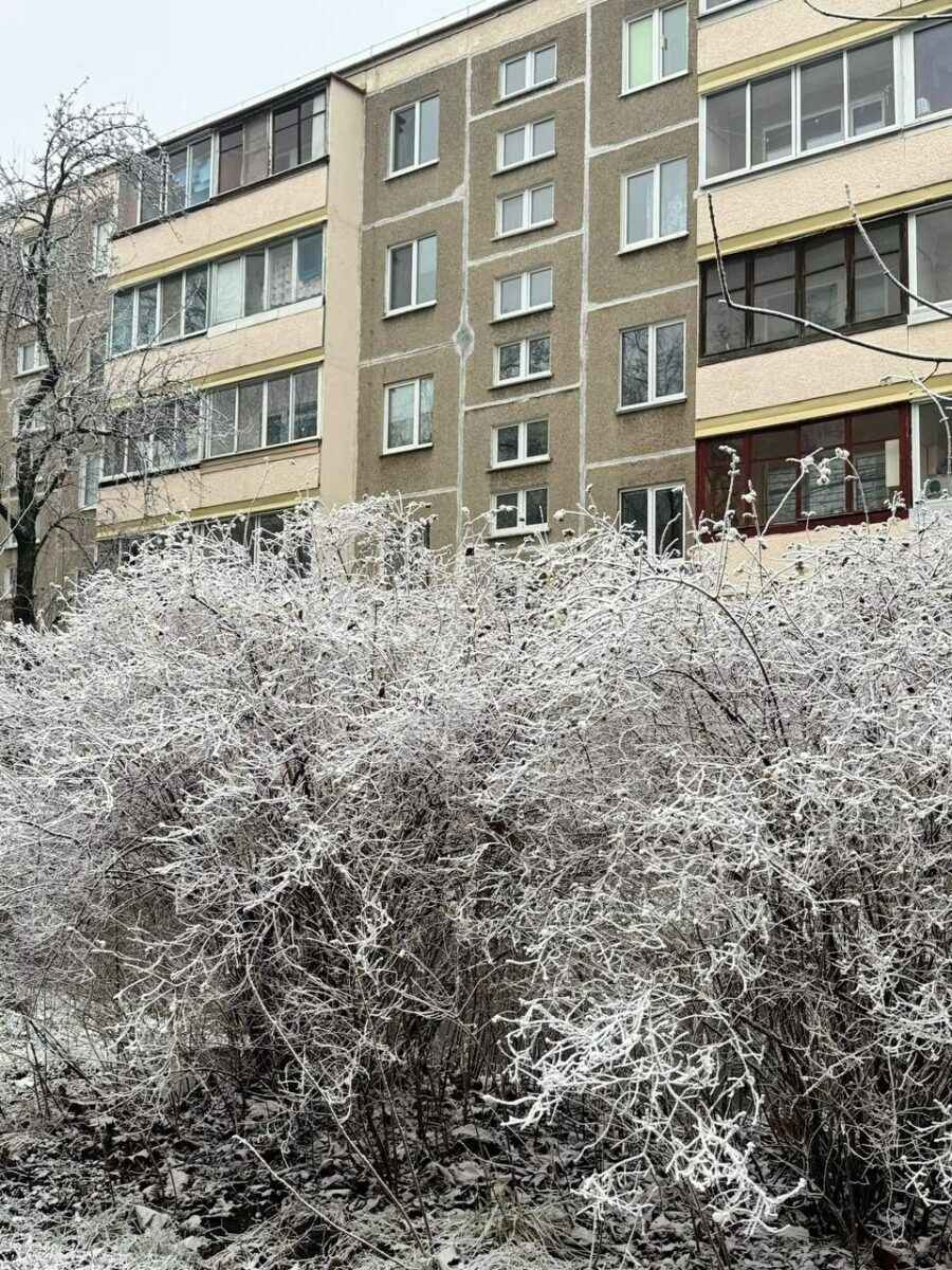 В Минске целую улицу накрыло «антропогенным» снегом