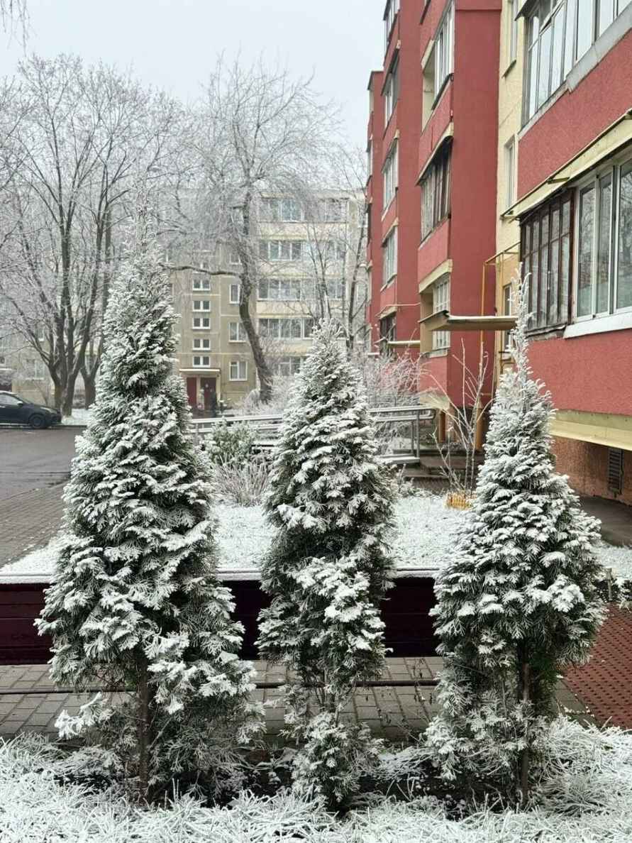 В Минске целую улицу накрыло «антропогенным» снегом