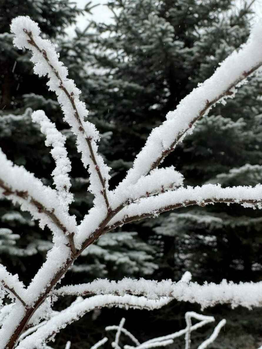 В Минске целую улицу накрыло «антропогенным» снегом