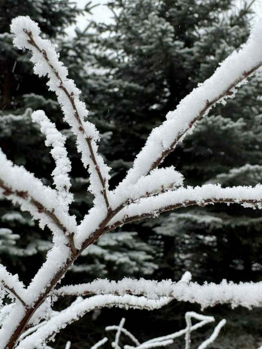В Минске целую улицу накрыло «антропогенным» снегом