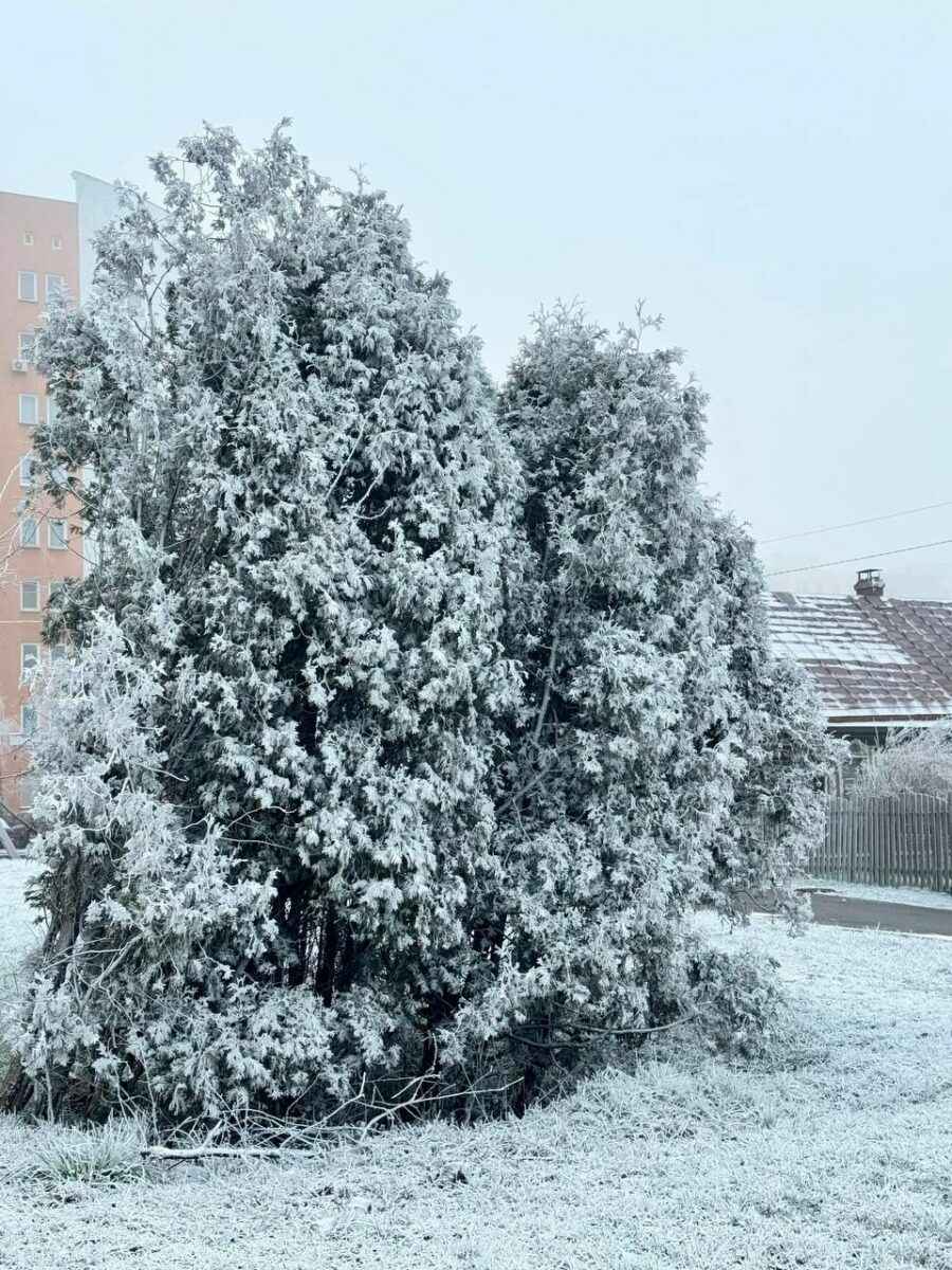 В Минске целую улицу накрыло «антропогенным» снегом