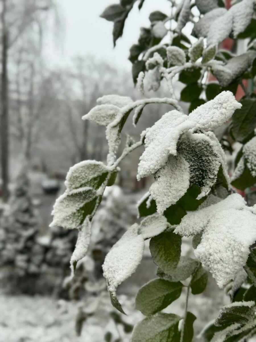В Минске целую улицу накрыло «антропогенным» снегом
