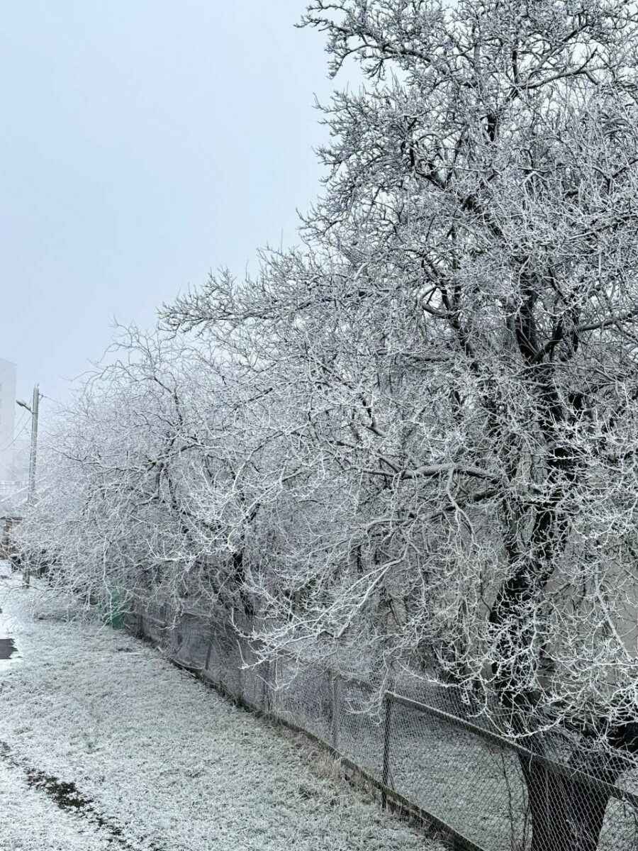 В Минске целую улицу накрыло «антропогенным» снегом
