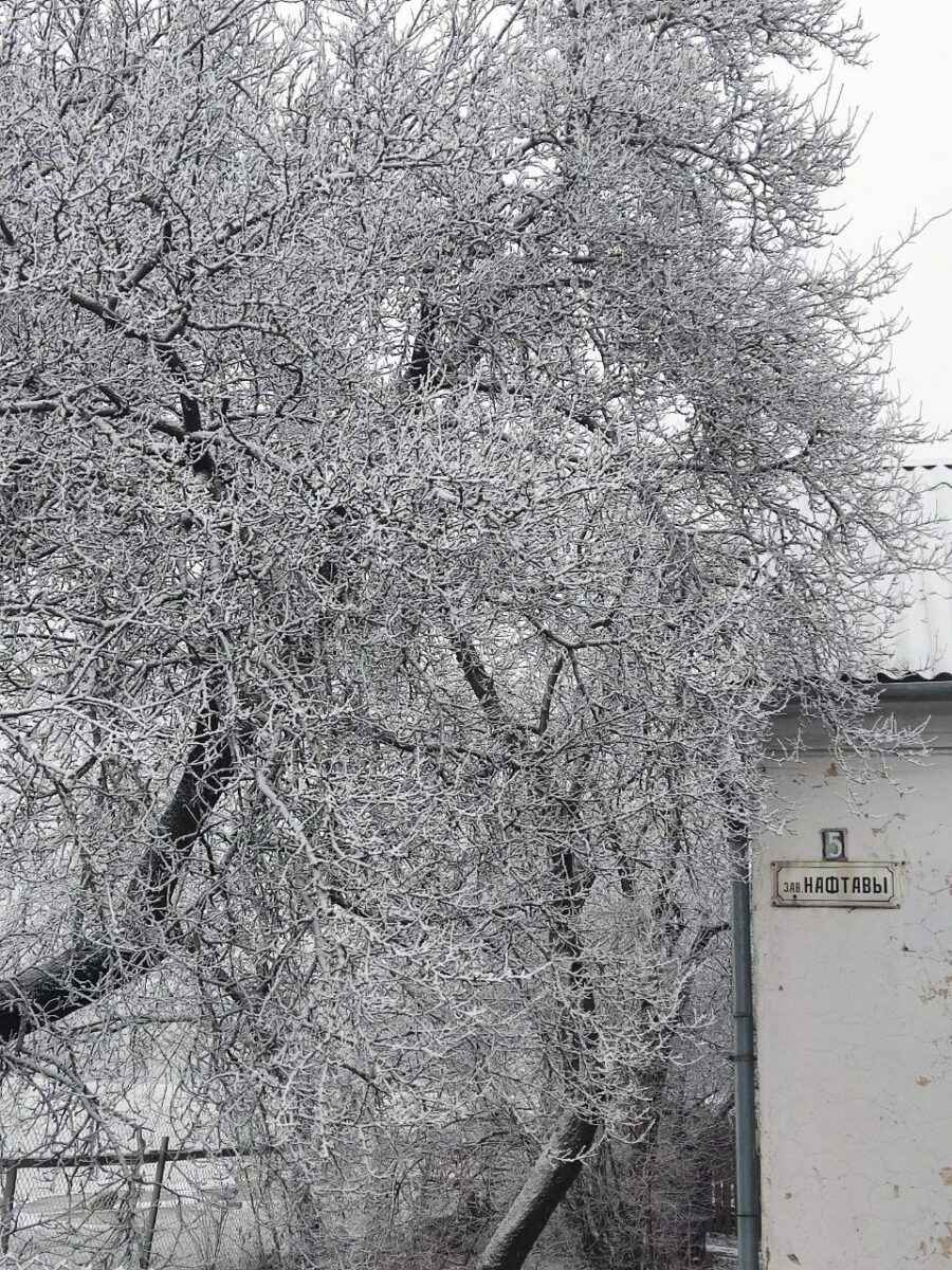 В Минске целую улицу накрыло «антропогенным» снегом