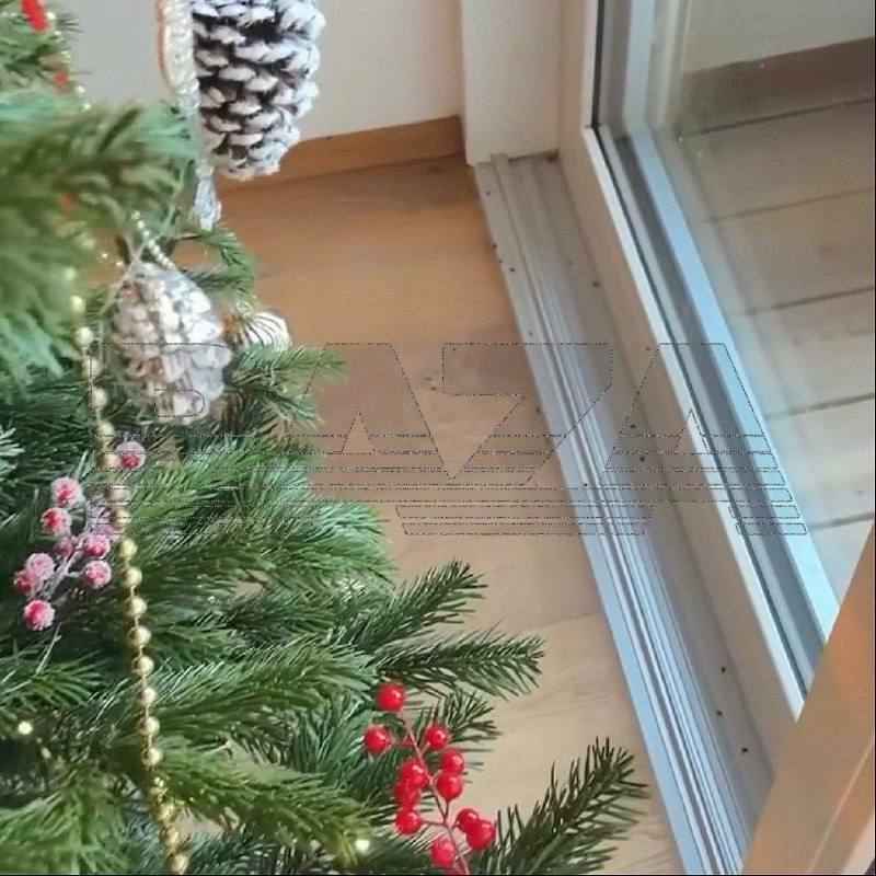 Россиян предупредили о скрытой опасности живых ёлок. Почему и белорусам стоит выдержать сутки на балконе?