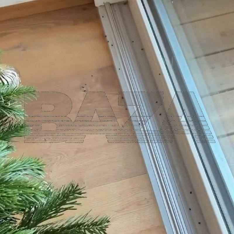 Россиян предупредили о скрытой опасности живых ёлок. Почему и белорусам стоит выдержать сутки на балконе?