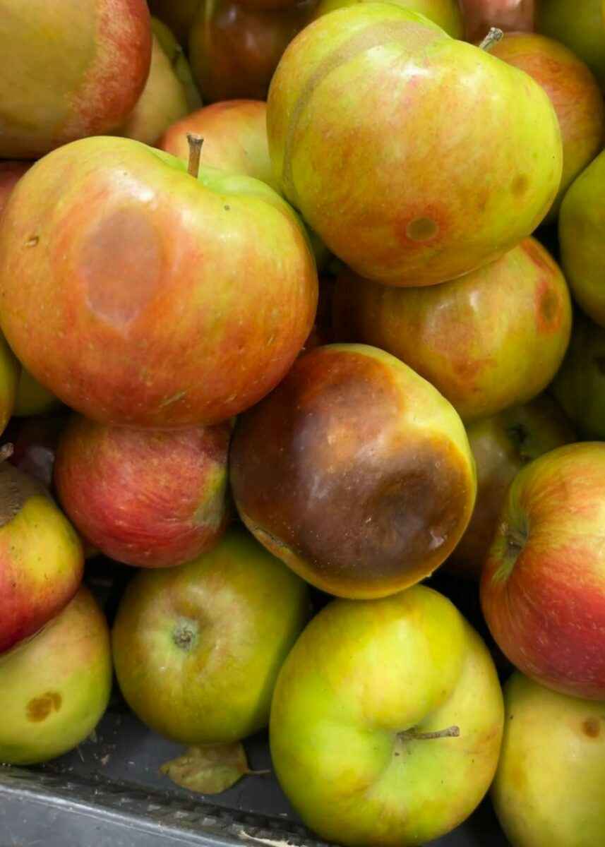 Дорогая морковка, гнилые яблоки и не только. КГК пригрозил штрафами 16 белорусским магазинам