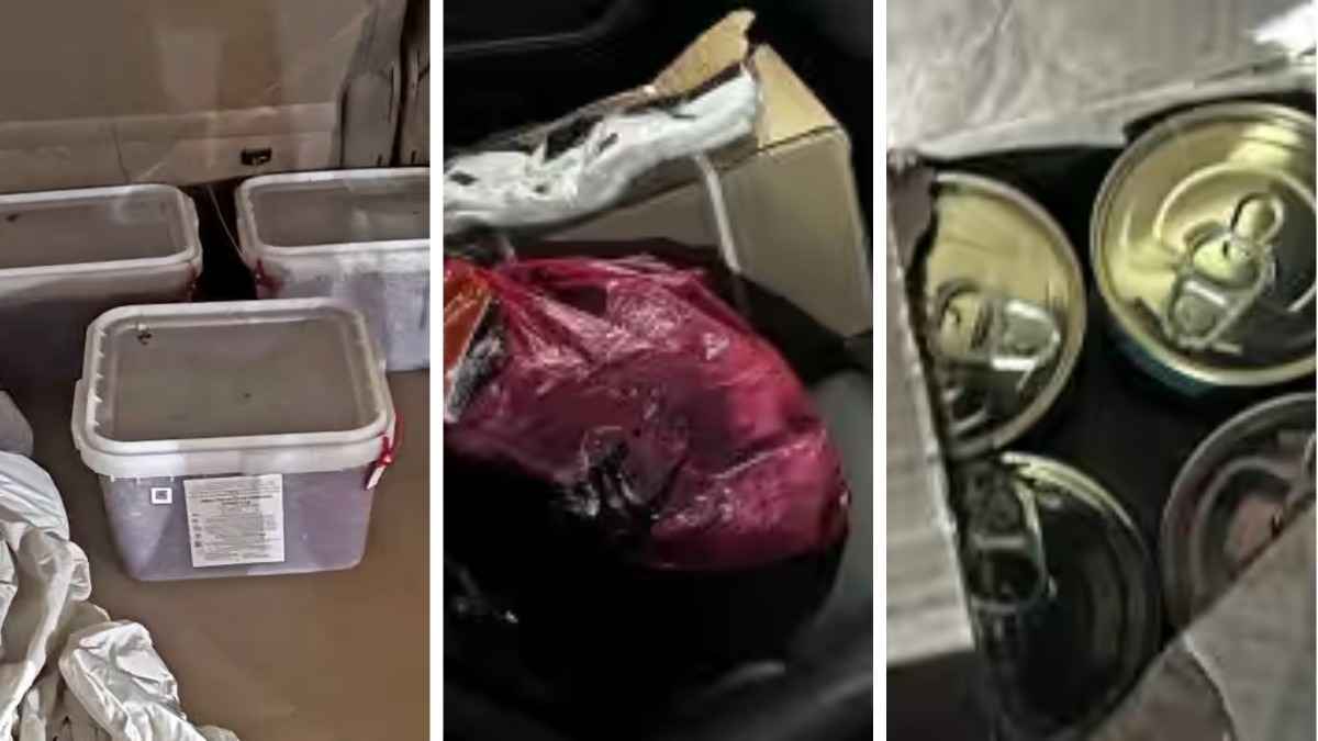 Любите покупать с рук "свежую" красную икру? Россельхознадзор показал, как её везут в Беларусь